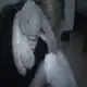 Аватар канала 𝘪𝘯𝘧𝘰