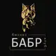 Аватар канала Бизнес-клуб Бабр