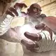 Аватар канала Bestanime