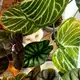 Аватар канала Этот 🌿 точно последний 🙈