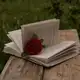 Аватар канала 🥀 ᴇꜱᴄʀɪᴛᴏꜱ ʏ ʟɪʙʀᴏꜱ 📖📚