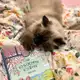 Аватар канала Цундоку или моя библиомания 📚