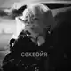 Аватар канала секвойя