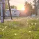 Аватар канала 𝑀𝑎𝑟𝑙𝑎'𝑠 𝑙𝑖𝑓𝑒🍃