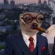 Аватар канала muar