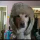 Аватар канала переходник американского