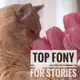 Аватар канала Фоны для сторис