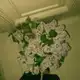 Аватар канала kkk.