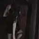 Аватар канала 🤍