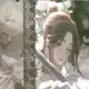 Аватар канала ʚ 𝘳𝘦𝘷𝘪𝘦𝘸𝘴 ɞ