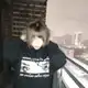 Аватар канала froutech