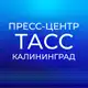 Аватар канала Пресс-центр "ТАСС Калининград"