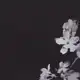 Аватар канала 𝐋𝐄𝐒 𝐅𝐀𝐑𝐂𝐄𝐒 𝐃𝐄 𝐏𝐎𝐔𝐃𝐋𝐀𝐑𝐃.