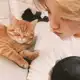 Аватар канала ⌗ luhan | ( 鹿晗 )`