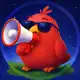 Аватар канала Stars Birds News