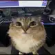 Аватар канала отзывыы