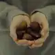 Аватар канала Сладкие каштаны