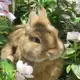 Аватар канала Misha's info 🌱