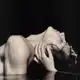 Аватар канала ᅠ 𝓘𝖭𝖥𝖮 𓈒 𓈒