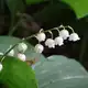 Аватар канала Живая природа