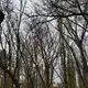 Аватар канала 𝑫𝒐𝒓𝒐𝒕||по ту сторону
