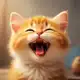 Аватар канала КОТИК