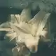 Аватар канала 𓍯𓂃𝑖𝑛𝑓𝑜 𝑅𝑖𝑛𝑎𓏧
