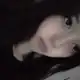 Аватар канала дияна