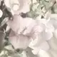 Аватар канала 𝓴𝓮𝓿𝓾 𝓲𝓷𝓯𝓸𝓸 .♡