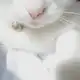 Аватар канала Chaikamii's adopts