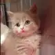 Аватар канала переходник в сквад!¡!!