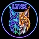 Аватар канала LynxStory 🐾