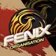 Аватар канала FENIX 𝗢𝗥𝗚𝗔𝗡𝗜𝗭𝗔𝗧𝗜𝗢𝗡