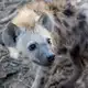 Аватар канала переходник!!