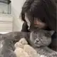 Аватар канала мисвит супресовна