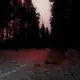 Аватар канала [полу рест]Sweet Dreams: TR:UD setka