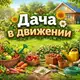 Аватар канала ГРЯДКИ, ЗАРЯДКИ . движении это жизнь.