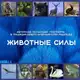 Аватар канала Животные силы