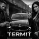 Аватар канала TERMIT