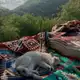 Аватар канала тихая вера.