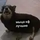 Аватар канала 𝐰𝐚𝐬𝐡𝐢𝐧𝐠 𝐜𝐟