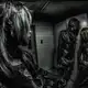 Аватар канала SEXXXUAL WAR FLOOD
