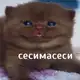 Аватар канала Just writing Barbara | зарисовки | ориджиналы