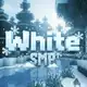 Аватар канала White СМП