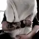 Аватар канала meowchik