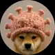 Аватар канала dogwifhanta