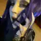 Аватар канала WAILDMEISTER