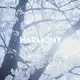 Аватар канала Hᴀrʍᴏny