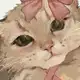 Аватар канала Отзывы об админах ･༓☾ᴘᴀссвᴇт симфонии☽༓･