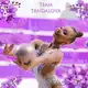 Аватар канала Evelina Tandalova|Team